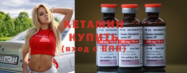 шишки Белоозёрский