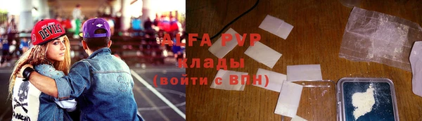 шишки Белоозёрский