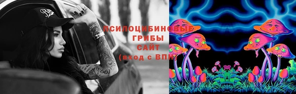 шишки Белоозёрский