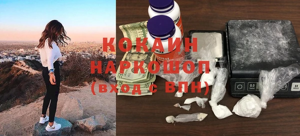 шишки Белоозёрский