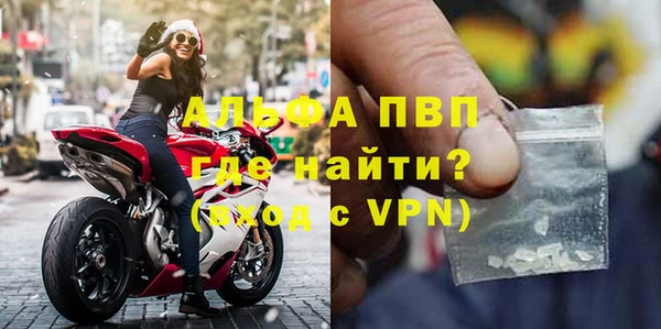 шишки Белоозёрский