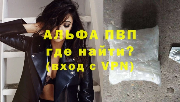 шишки Белоозёрский