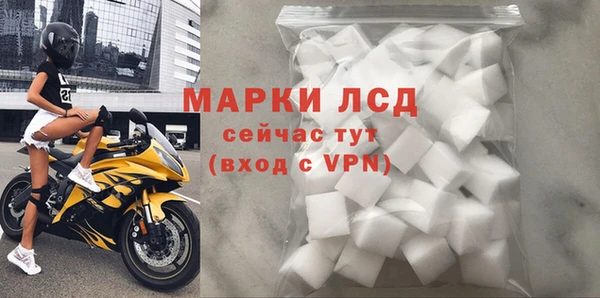 шишки Белоозёрский