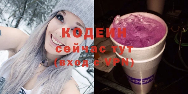 шишки Белоозёрский